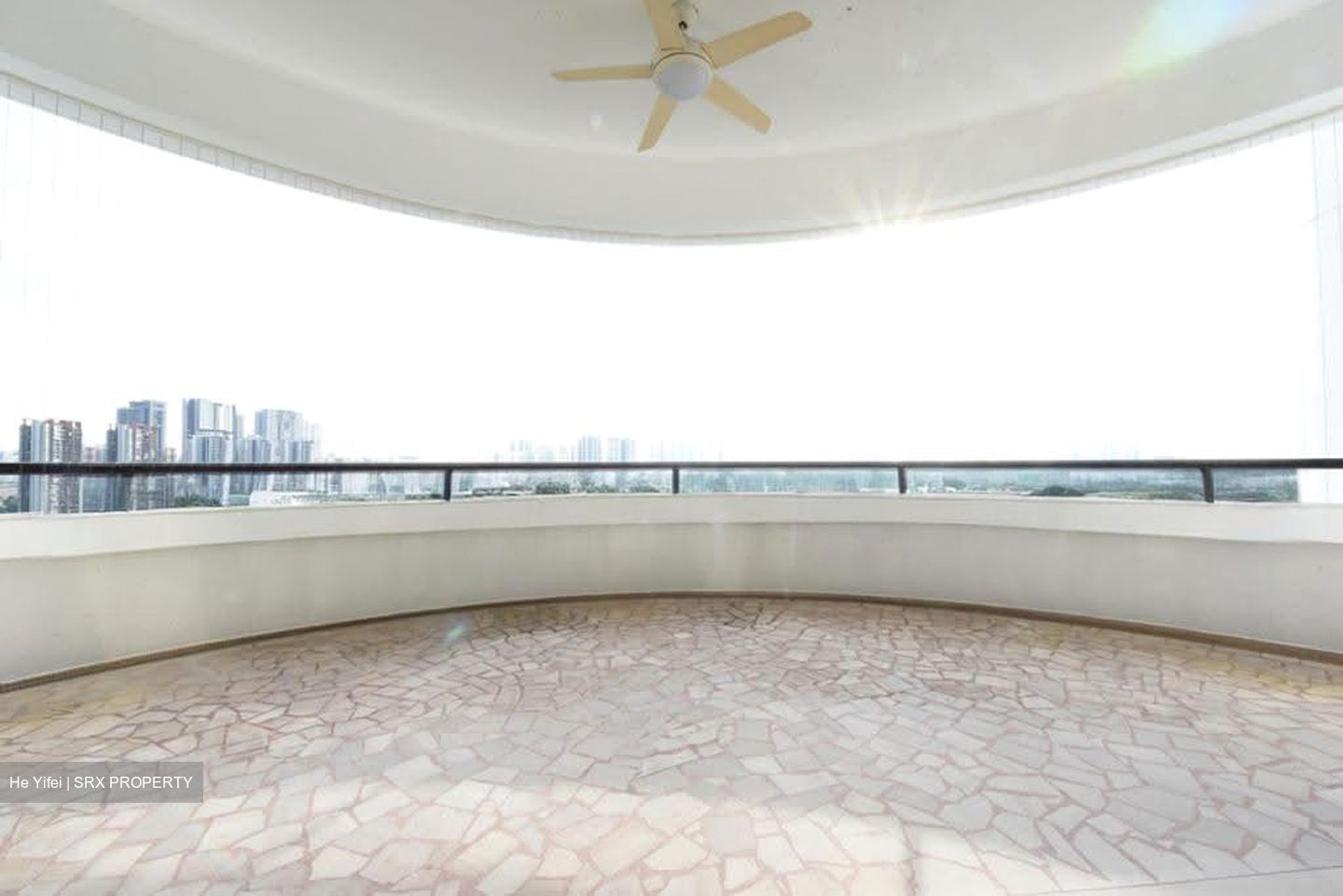Regency Park (D10), Condominium #631883841